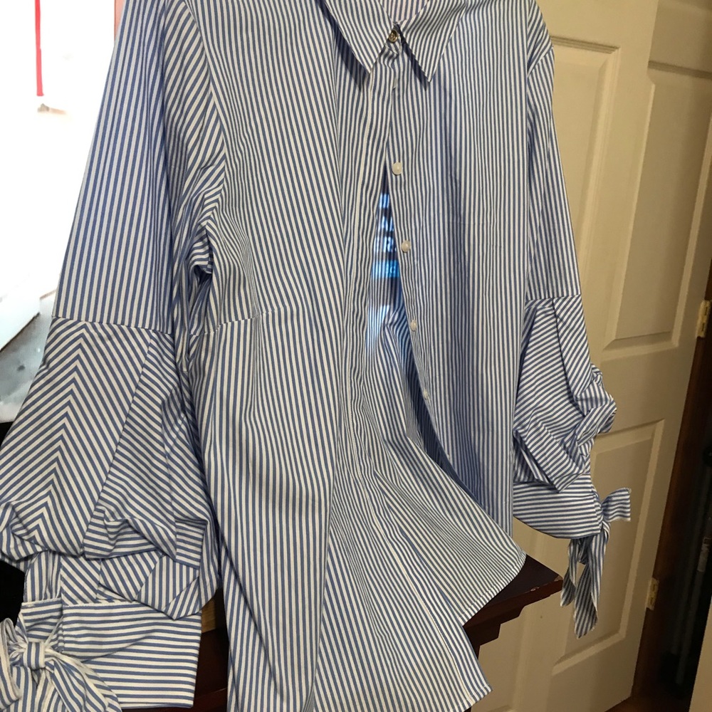 The Limited blouse.